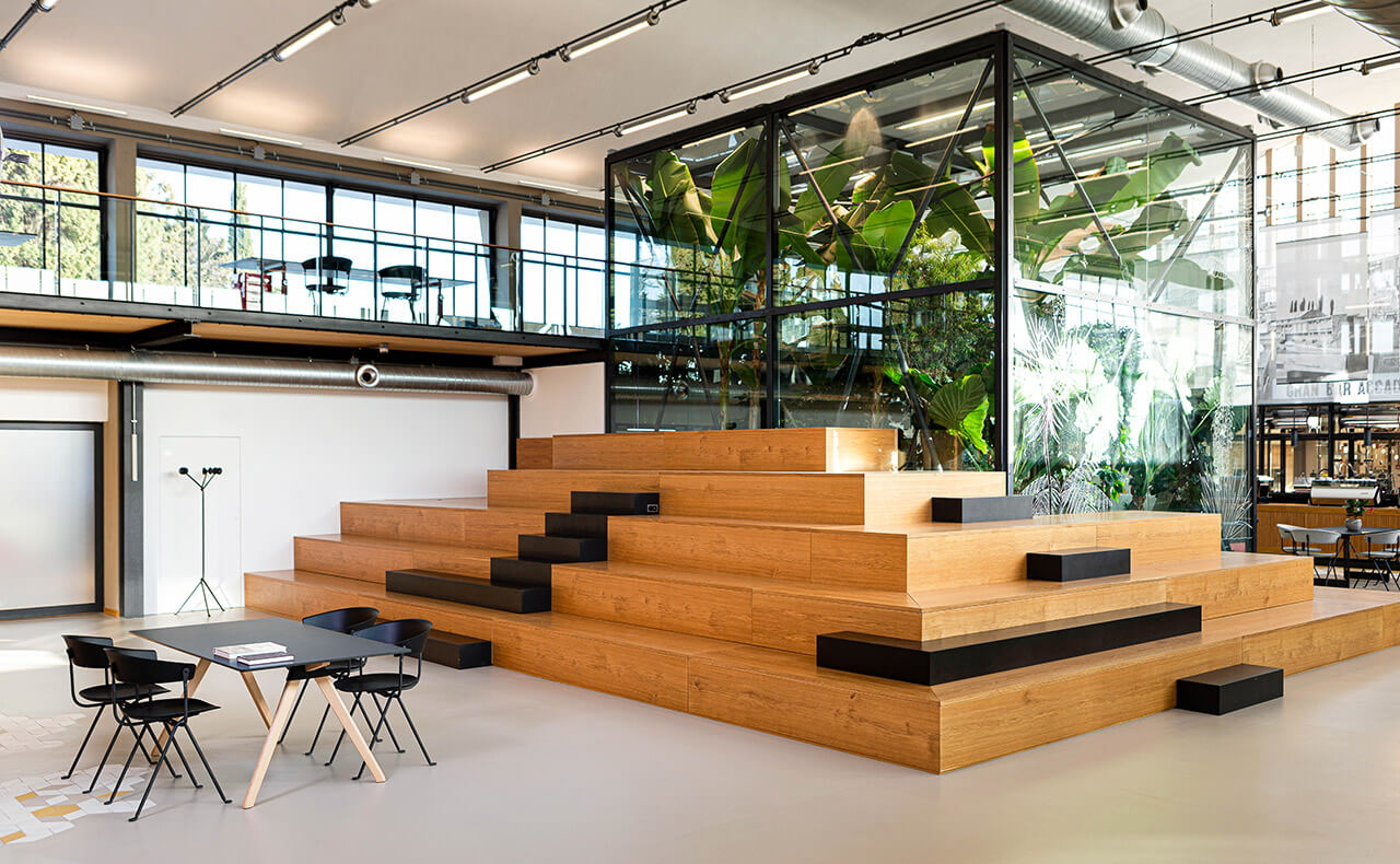 Introducing Accademia